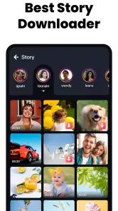 All Video Downloader & Player screenshot