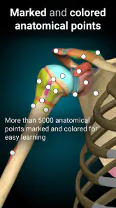 Anatomy Learning By Dr. Blanco screenshot
