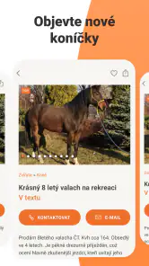 Bazoš: online bazar screenshot