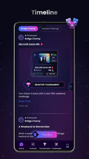 Bridge Champ screenshot