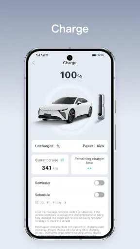 CarLinko screenshot