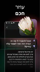 ChatOn - בינה מלאכותית בעברית screenshot