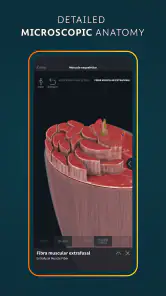 Complete Anatomy screenshot