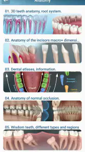 Dental 3D Illustrations screenshot