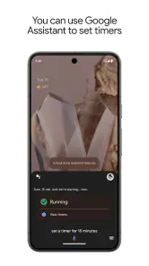 Google Assistant screenshot