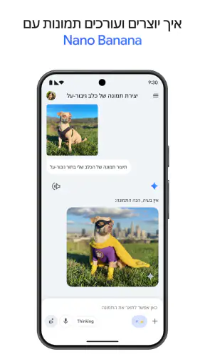 Google Gemini screenshot