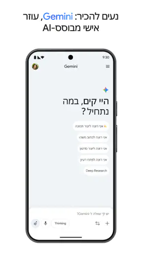 Google Gemini screenshot