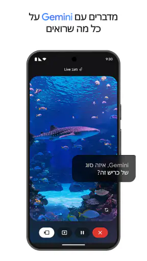Google Gemini screenshot