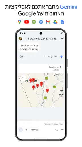 Google Gemini screenshot