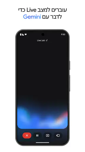 Google Gemini screenshot