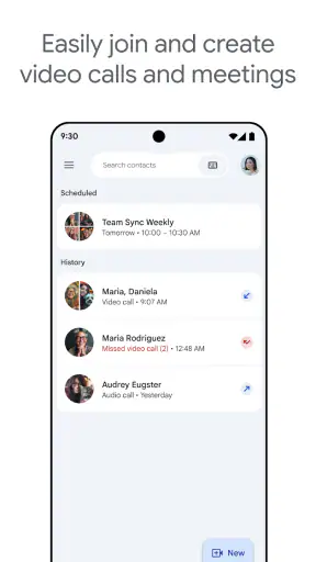 Google Meet screenshot