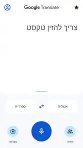 Google Translate screenshot
