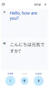 Google Translate screenshot