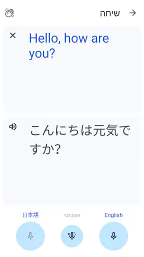 Google Translate screenshot