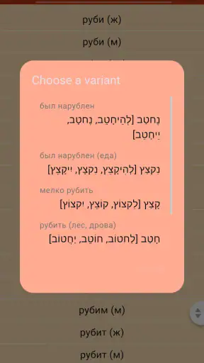IRIS טבלאות פעלים screenshot