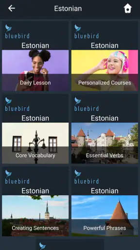 Learn Estonian. Speak Estonian screenshot