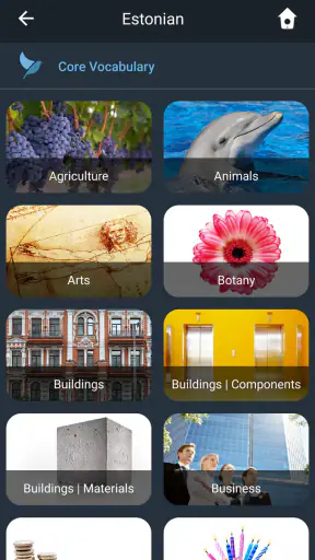Learn Estonian. Speak Estonian screenshot