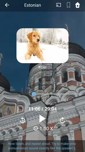 Learn Estonian. Speak Estonian screenshot