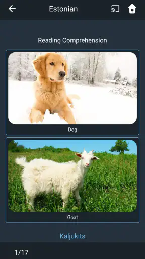 Learn Estonian. Speak Estonian screenshot