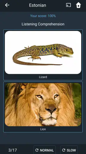 Learn Estonian. Speak Estonian screenshot