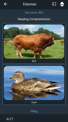 Learn Estonian. Speak Estonian screenshot