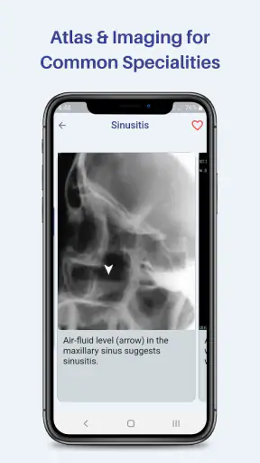Medinfo: Medical information screenshot