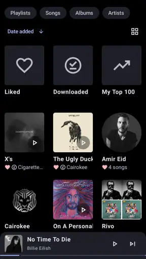 Metrolist screenshot