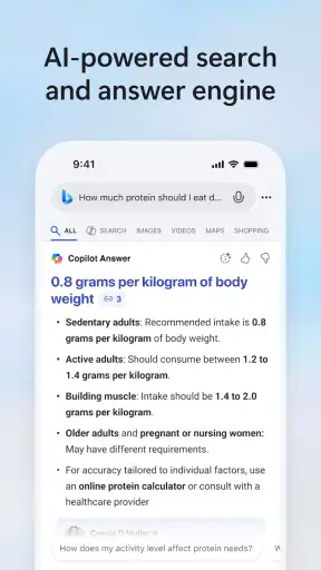 Microsoft Bing Search screenshot