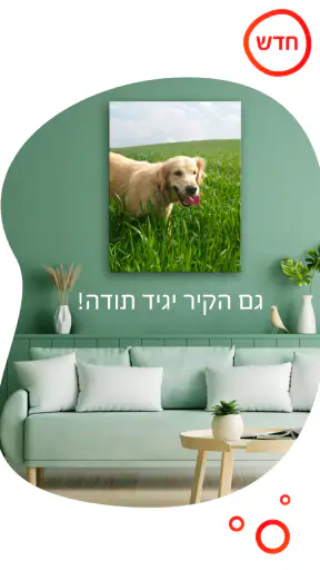Picabook AI אלבום תמונות חכם screenshot