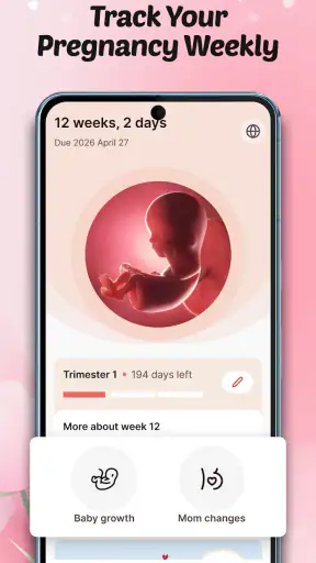 Pregnancy Tracker: Baby Growth screenshot