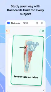 Quizlet: More than Flashcards screenshot