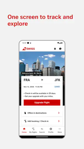 SWISS screenshot