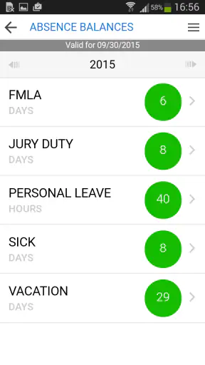 Synerion Mobile Pro screenshot