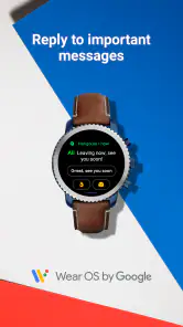 Wear OS by Google Smartwatch screenshot