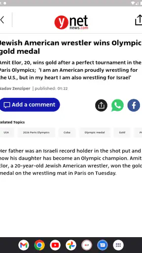 ynet Global screenshot