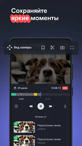 Видеонаблюдение и Умный дом screenshot
