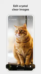 גלריה פשוט מקצועי screenshot