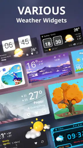 מזג אוויר חי screenshot