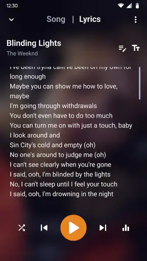 נגן מוזיקה - נגן MP3 screenshot
