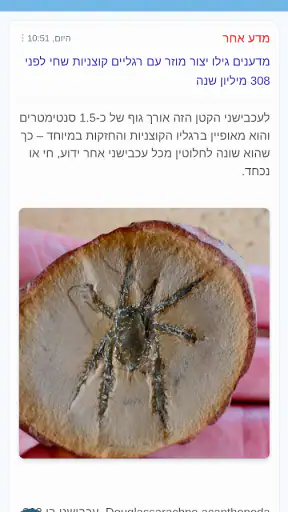 רוטר.נט screenshot