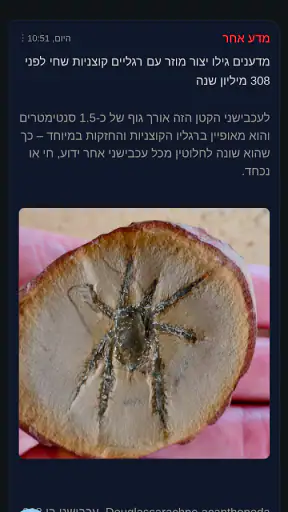 רוטר.נט screenshot