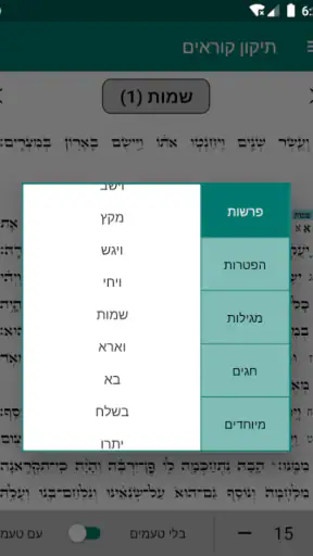 תיקון קוראים - עימוד כמו בס"ת screenshot