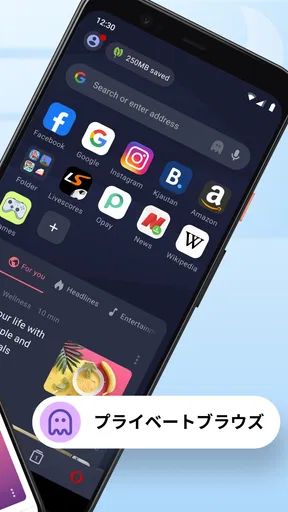Opera Mini Web ブラウザ screenshot