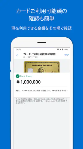 Amex Japan screenshot