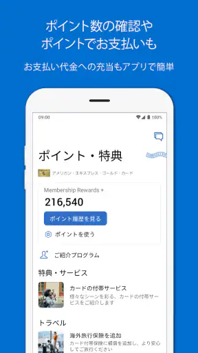Amex Japan screenshot