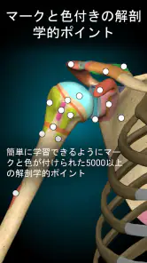 Anatomy Learning - 3D解剖学 screenshot