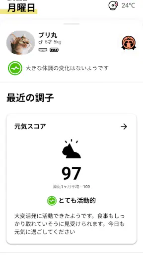 Catlog screenshot