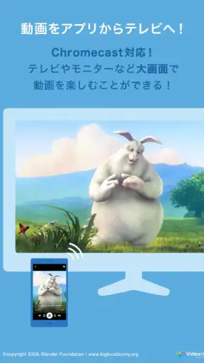 DMM動画プレイヤー screenshot