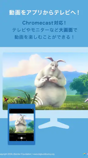 DMM動画プレイヤー screenshot