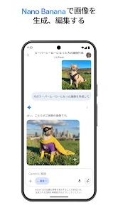 Google Gemini screenshot